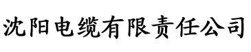 91香蕉污污污电缆厂logo